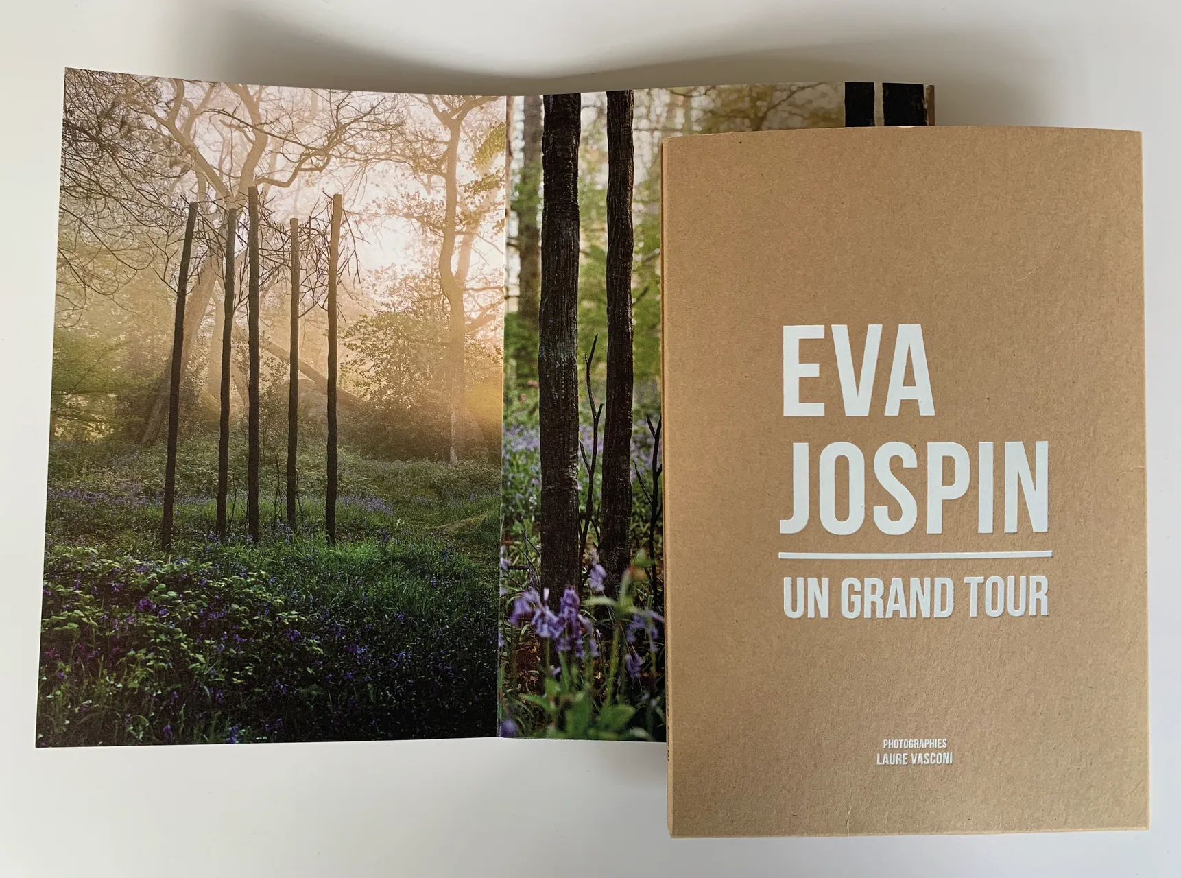 mesh_design-references-01